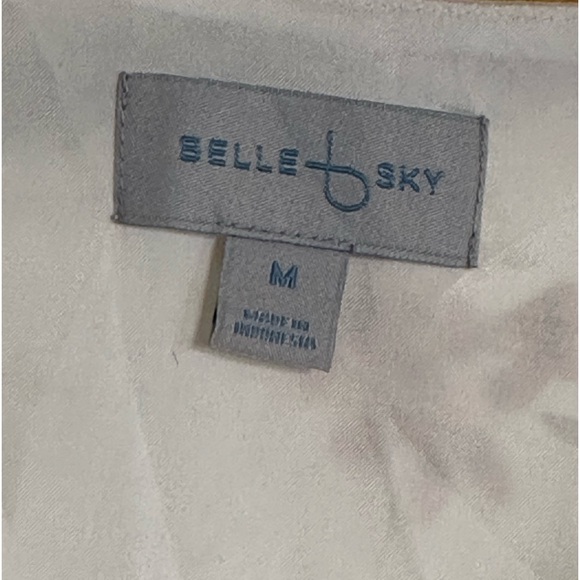 Belle and Sky Sheer Romantic Long Sleeves Elastic Shirred Waistband Maxi Dress - Picture 3 of 7